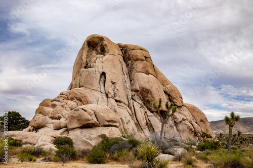 Intersection Rock in Joshua Tree