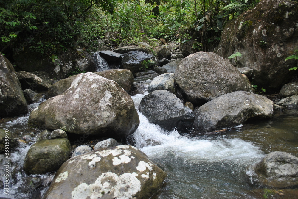 Rivers and waterfalls in the tropical forest of Panama Rivers and waterfalls in the tropical forest of Panama