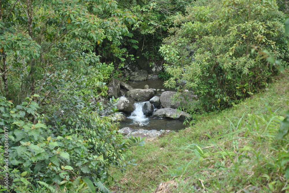 River and waterfalls in the tropical forest River and waterfalls in the tropical forest