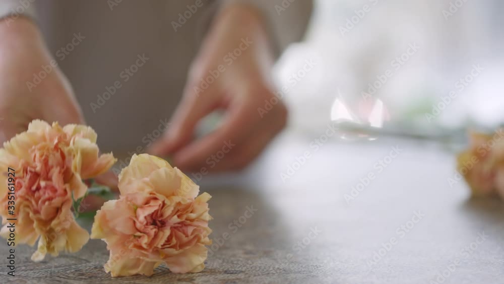 Tracking with close up of female hands arranging freshly cut carnation flowers on counter