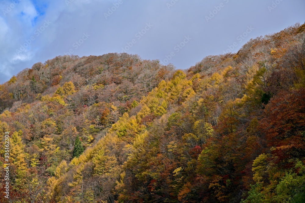 展望台から見る大山の紅葉風景＠鳥取