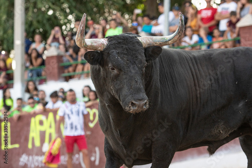 Un toro crea la expectación de mucha gente 