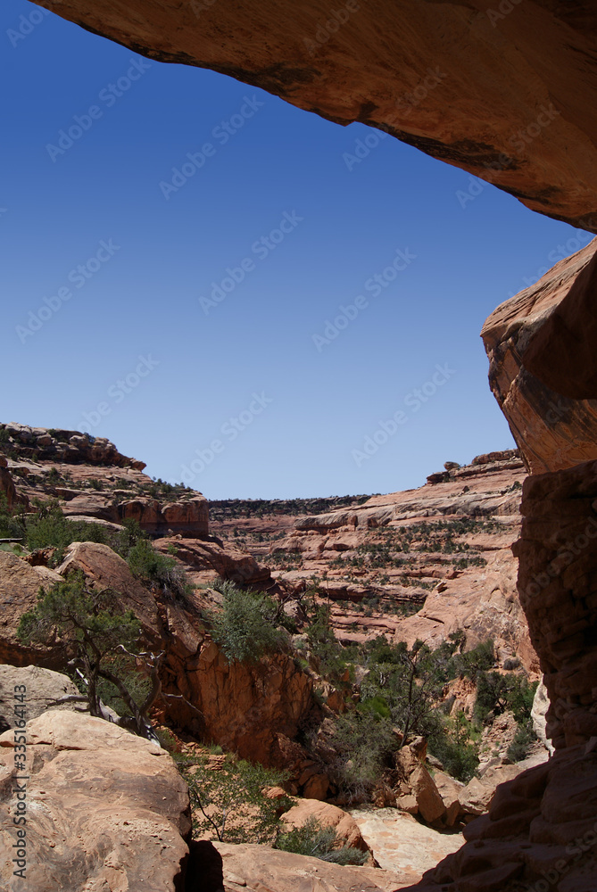 View from a prehistoric cave in canyon country in the Bears Ears wilderness of Southern Utah.




