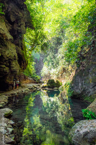 Fototapeta Naklejka Na Ścianę i Meble -  Paisaje selvático con río de agua limpia, arroyo, piedras y árboles