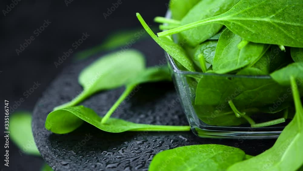 Baby Spinach on a rotating plate (not seamless loopable)
