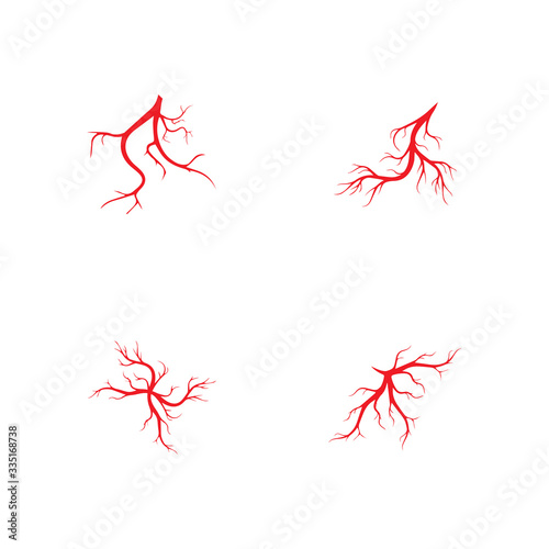 human veins, red blood vessels design and arteries Vector illustration isolated