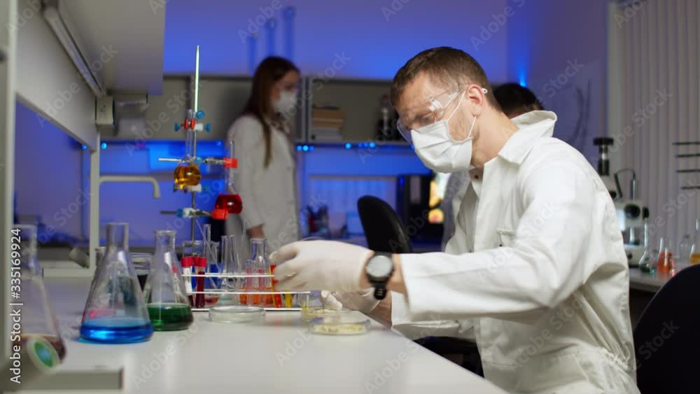 Scientist examining sprouts in Petri dish Scientist examining sprouts in Petri dish