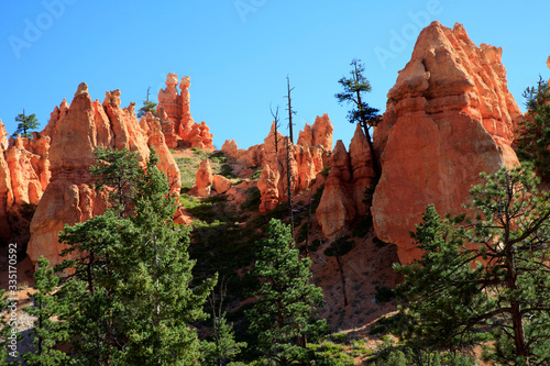 Utah / USA - August 22, 2015: View near a tourist pathway at Bryce Canyon National Park, Utah, USA.