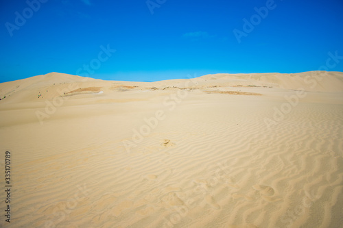 Giant Sand dunes situated in Northland  New Zealand