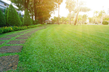 Acrylglasbilder Pistache Pattern of Laterite steping stone on a green Lawn in the public park, Ficus and shurb on the left , Trees in background under evening sunlight  © Arunee