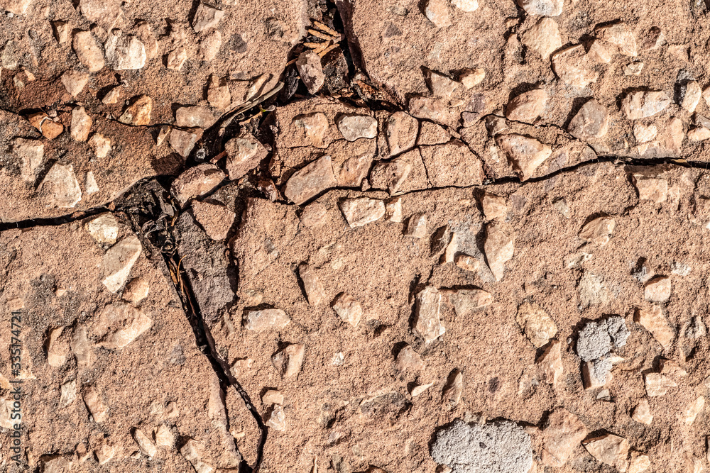 Cracked old concrete paving slabs of a garden path.