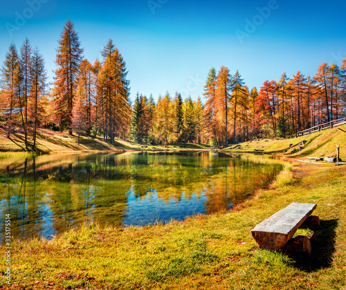 Astonishing morning view of Scin lake with yellow larch trees. Beautiful scene of Dolomite Alps, Cortina d'Ampezzo location, Italy, Europe. Traveling concept background.
