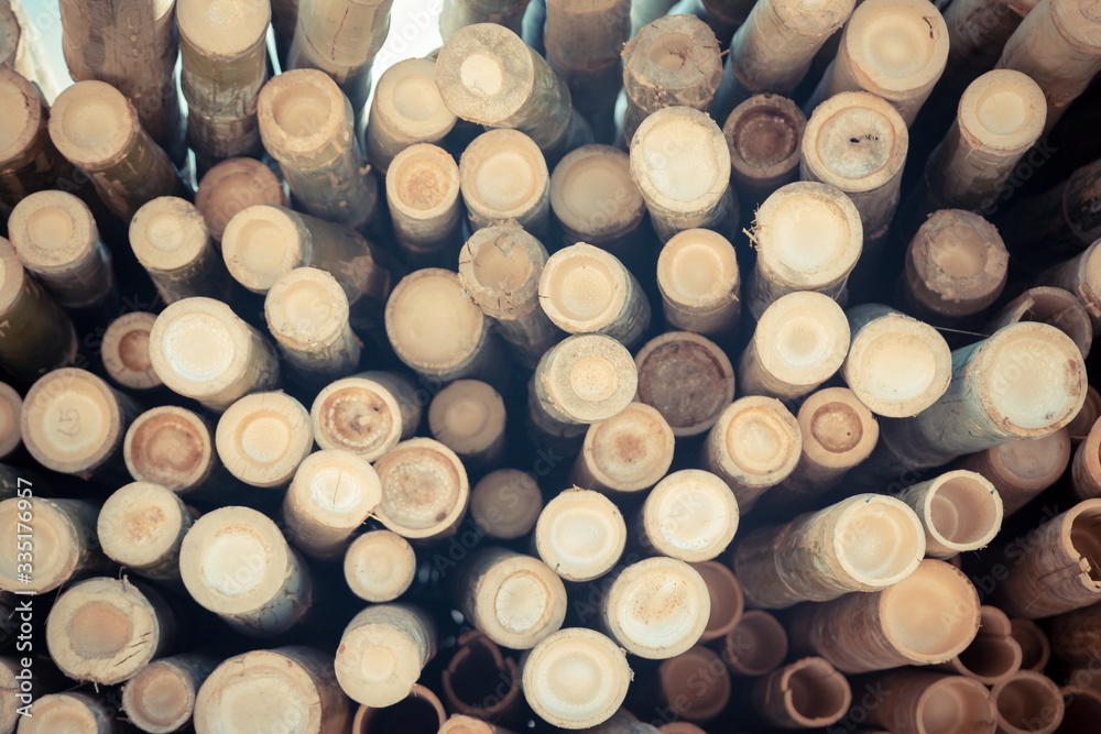 Beautiful nature cutting bamboo sticks texture use for pattern Beautiful nature cutting bamboo sticks texture use for pattern