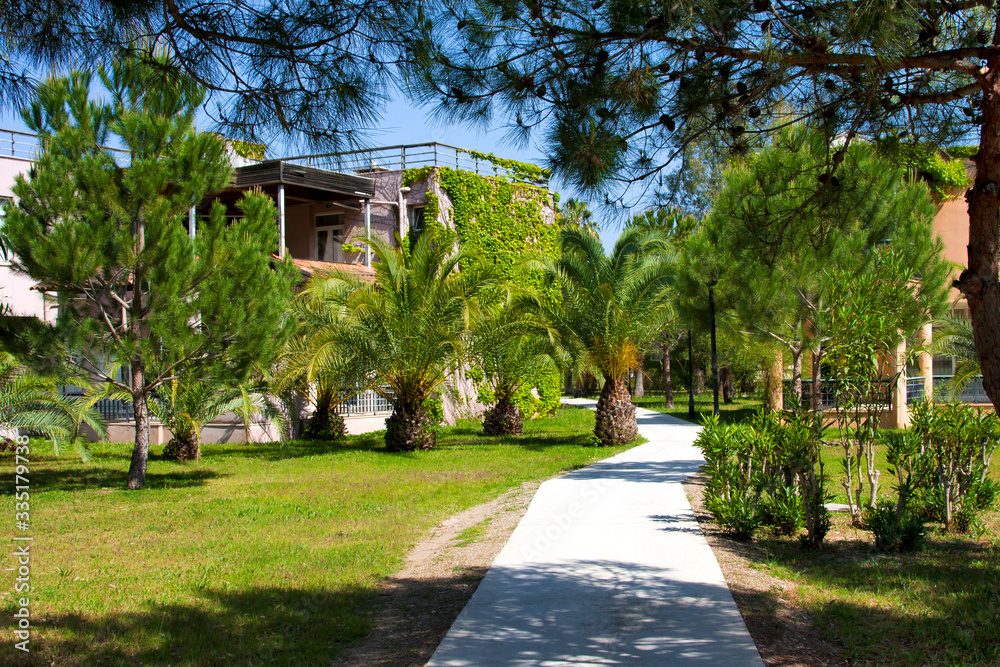 Walkway, grass, palm trees and small houses