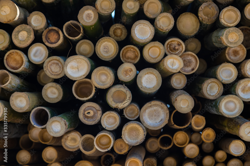 Beautiful nature cutting bamboo sticks texture use for pattern Beautiful nature cutting bamboo sticks texture use for pattern