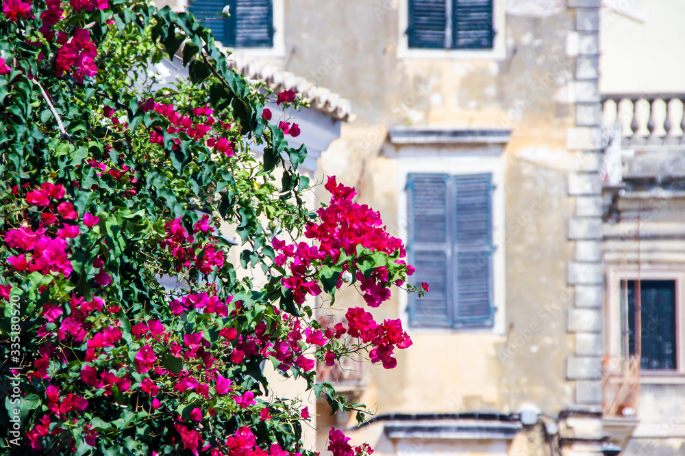 Corfu historical heritage, architecture, streets, buildings, patios, doors, windows and vegetation, Greece, summer