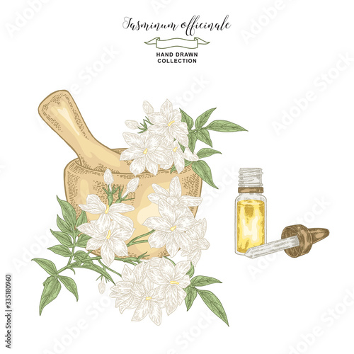 White jasmine branch with flowers and leaves. Hand drawn Jasminum officinale plant with mortar and glass bottle of oil. Vector illustration botanical. Colorful engraving style.