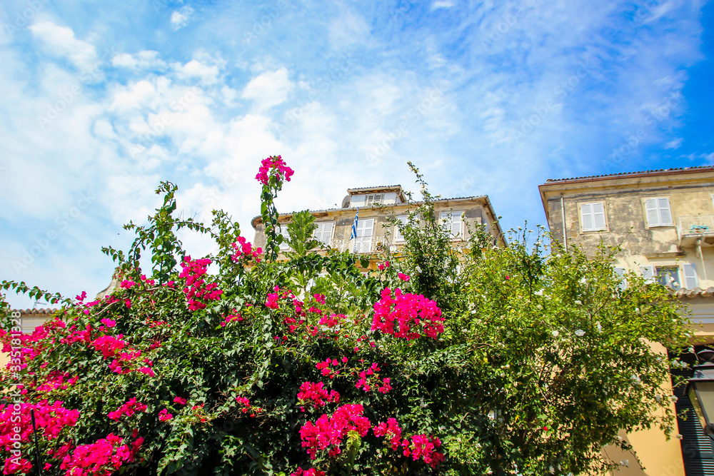 Corfu historical heritage, architecture, streets, buildings, patios, doors, windows and vegetation, Greece, summer