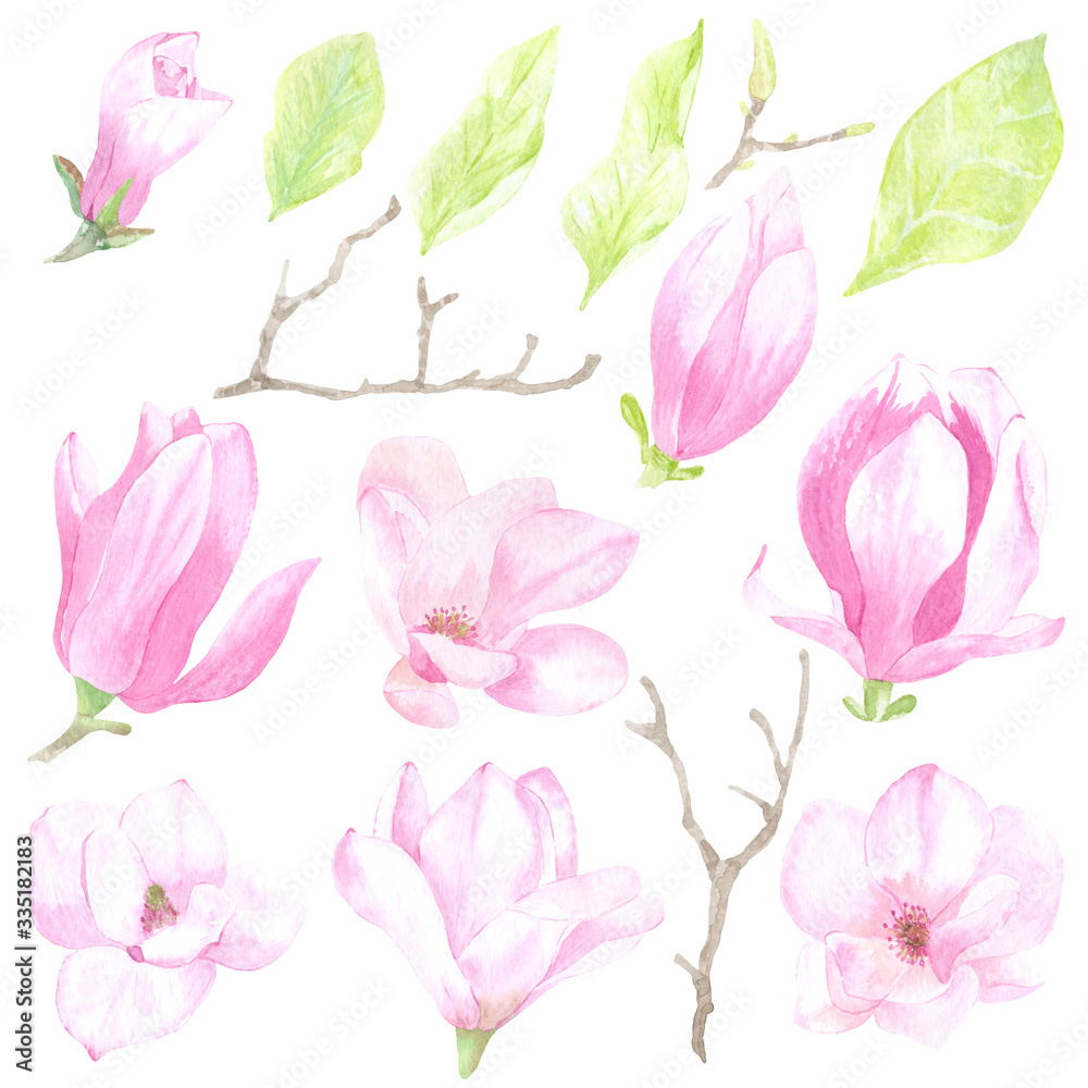 Watercolor tender set of flowers and leaves of magnolia. It is perfect for printing design, textile, souvenir products, web sites, scrapbooking, decoupage and other creative projects.