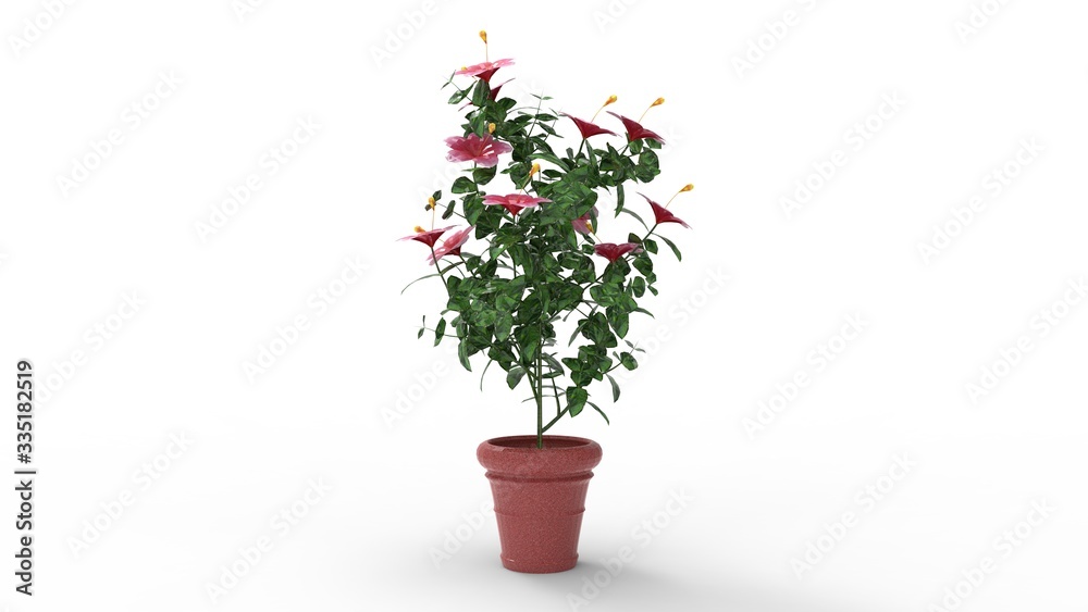 3D rendering of a house plant model computer generated