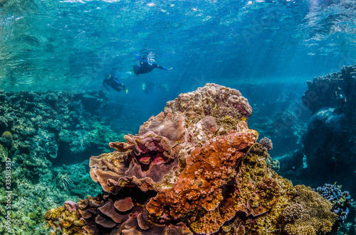 Snorkelers swimming among colorful coral reef