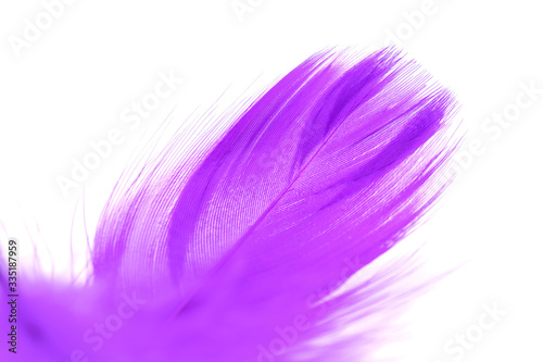 Close up of soft Purple feather isolated on white