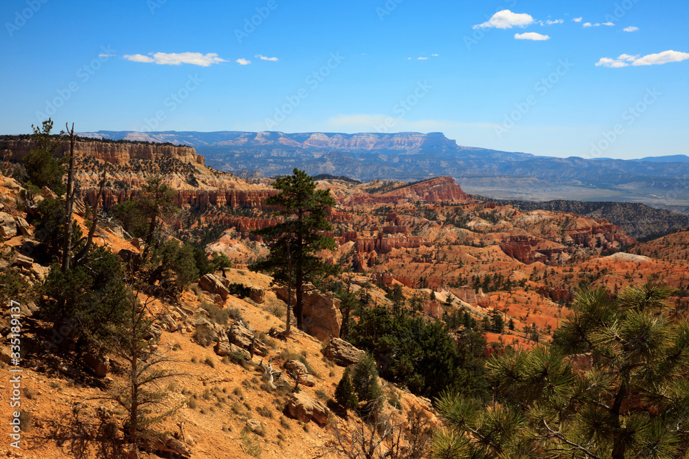 Utah / USA - August 22, 2015: View of hoodoo and rock formationat at Bryce Point in Bryce Canyon National Park, Utah, USA Utah / USA - August 22, 2015: View of hoodoo and rock formationat at Bryce Point in Bryce Canyon National Park, Utah, USA