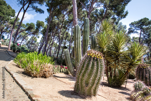 Succulent Cactus Alley in Cap Roig Botanical Garden