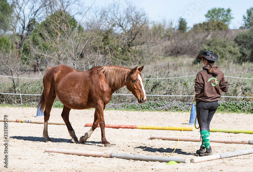 training of equifeel photo