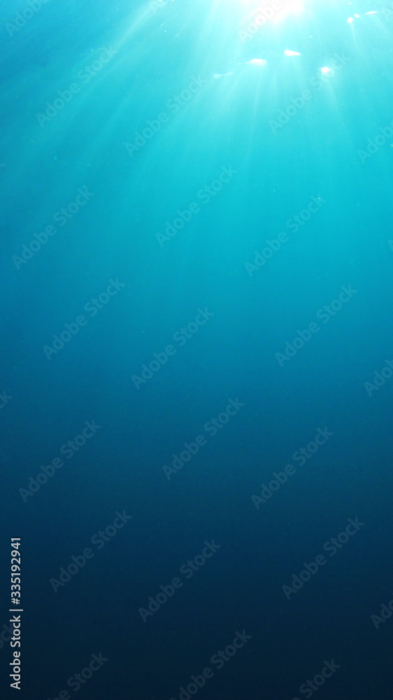 Underwater blue background vertical photo Underwater blue background vertical photo