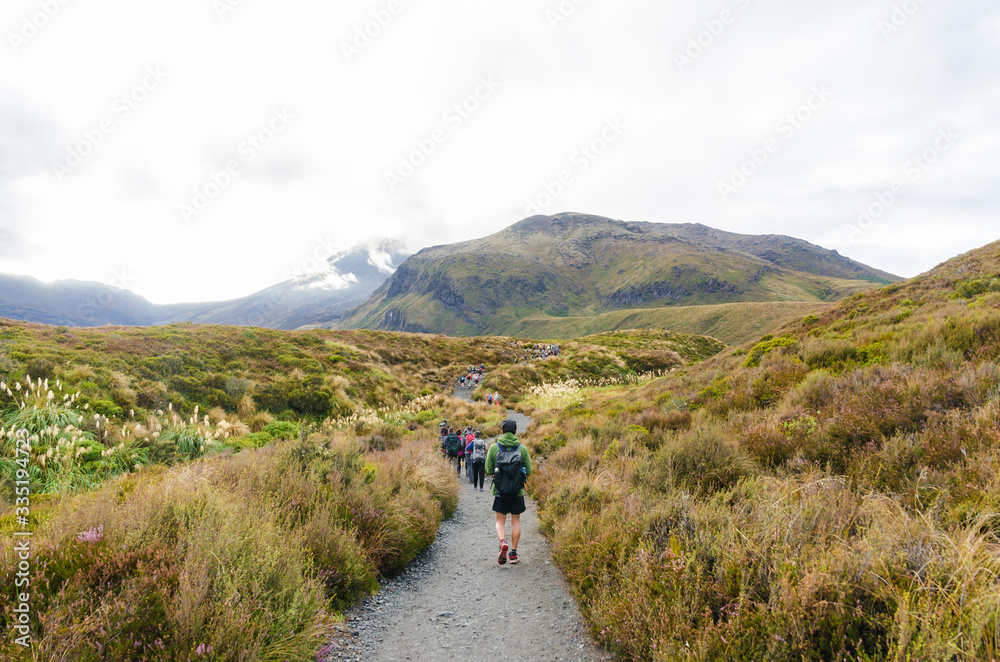 People can seen trekking along the pathway to Tongariro National Park, New Zealand