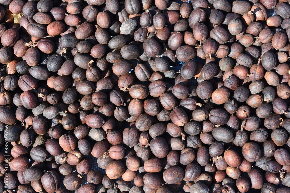 The coffee beans are dried in the background The coffee beans are dried in the background