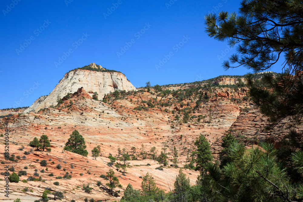 Utah / USA - August 22, 2015: The mountains landscape in Zion National Park, Utah, USA