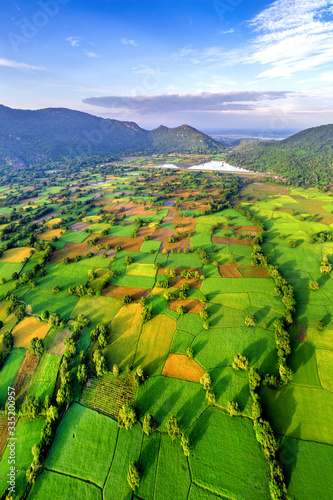 Royalty high quality free stock image aerial view of rice fields in Mekong De...