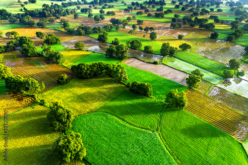 Royalty high quality free stock image aerial view of rice fields in Mekong De...