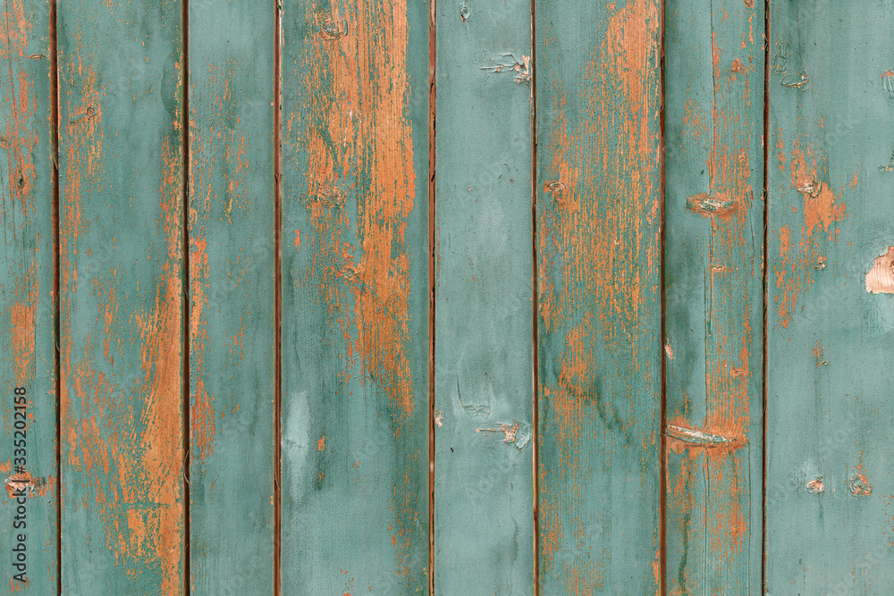 Green wooden boards or fence texture background or backdrop with old paint Green wooden boards or fence texture background or backdrop with old paint
