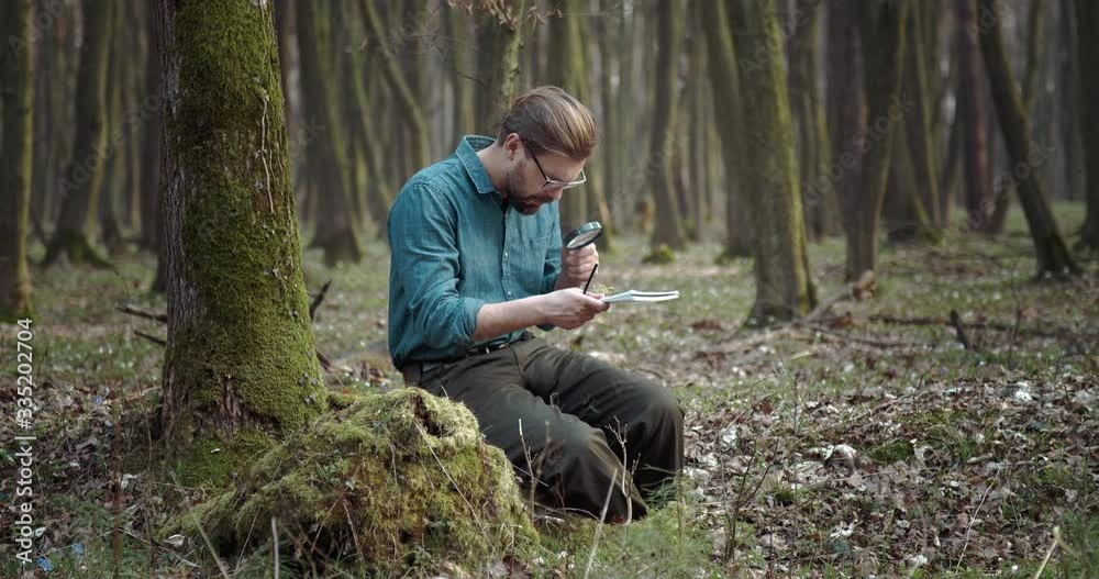 Bearded botanist in casual clothing and eyewear exploring green moss on old tree with magnifying glass. Mature man spending time for scientific research at forest Bearded botanist in casual clothing and eyewear exploring green moss on old tree with magnifying glass. Mature man spending time for scientific research at forest