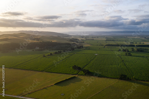 Aerial view on farmland early in the morning at Ruawai area in Northland, New Zealand. photo