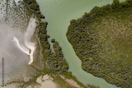 Top view of a piece of green water running between trees in Northland, New Zealand.