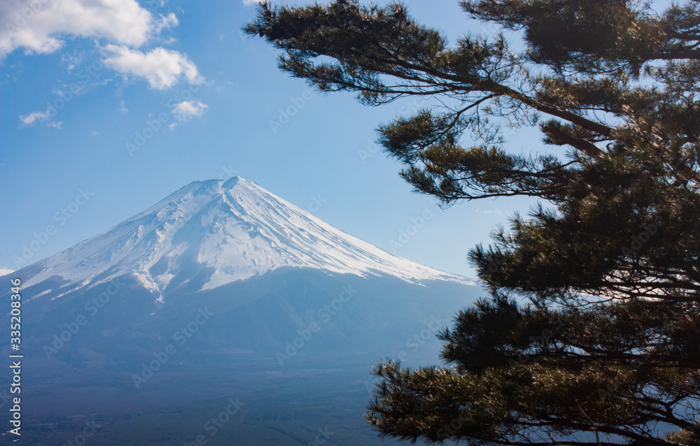 A tree in the foreground, the highest Japanese mountain, Mt. Fuji, in the background