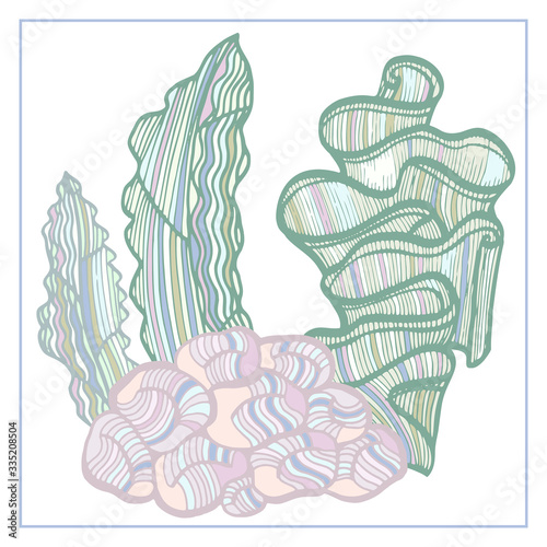 Coral and Algae vector graphic sketch handdraw 