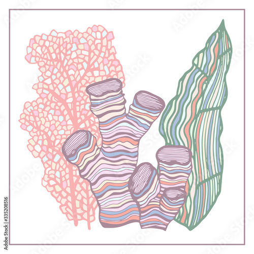Coral and Algae vector graphic sketch handdraw 