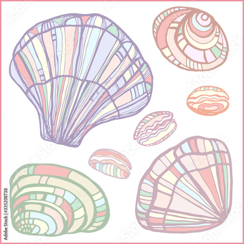 Seashells, starfishs, mollusks vector set graphic sketch 