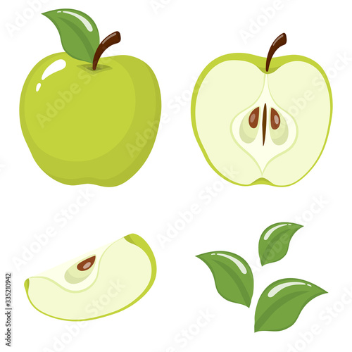Set of fresh whole, half, cut slice and leaves green apple fruit isolated on white background. Summer fruits for healthy lifestyle. Organic fruit. Cartoon style. Vector illustration for any design.