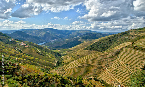 Douro Valley, vineyards and landscape near Regua, Portugal
