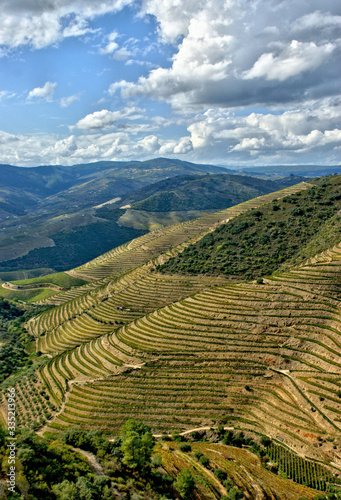 Douro Valley  vineyards and landscape near Regua  Portugal