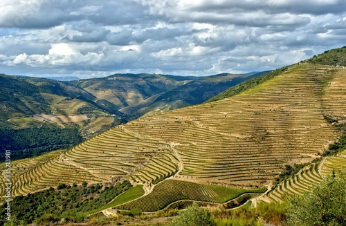 Douro Valley, vineyards and landscape near Regua, Portugal