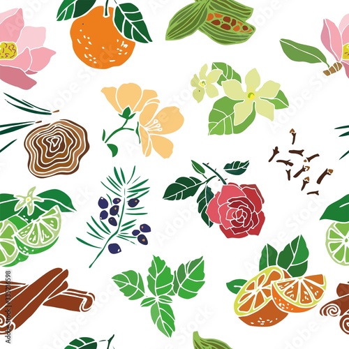 Seamless pattern with flowers, plants, leaves drawn by hand on a white background. Color aromatherapy symbols for postcard, banner, poster, invitation, wrapping paper. Cute cartoon Vector illustration