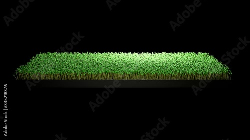 3D Microgreen render of tray growth photo