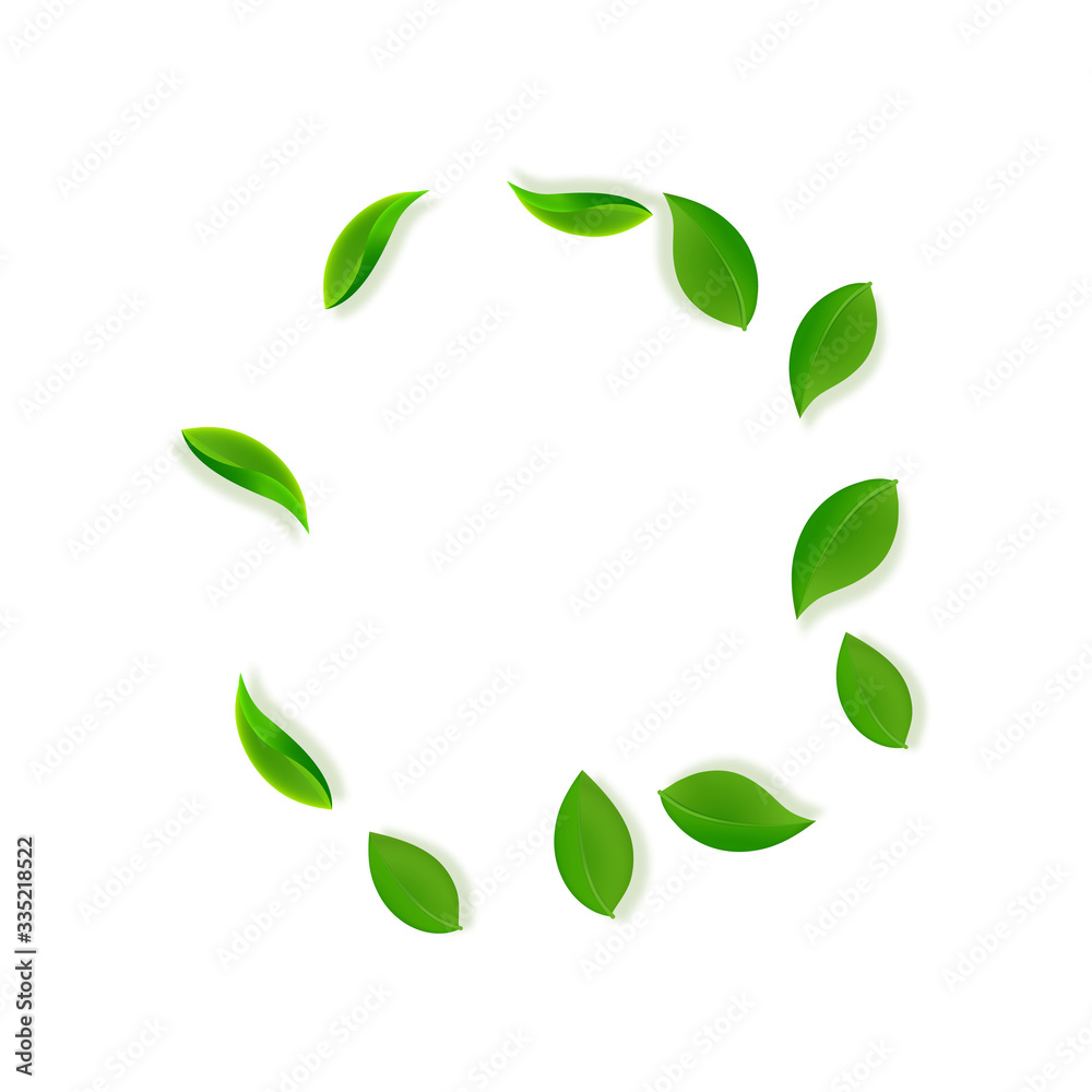 Falling green leaves. Fresh tea neat leaves flying Falling green leaves. Fresh tea neat leaves flying
